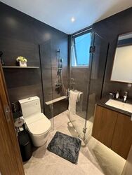 The Canopy (D27), Condominium #616597681
